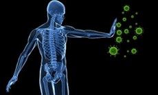 Phát hiện bí mật của miễn dịch qua da