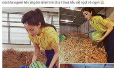 Kỳ Duyên buồn vì bị cho là 'làm màu' khi đi bán dưa hấu