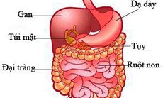 Điều trị co thắt đại tràng