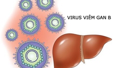 Nhiễm virut viêm gan B có nguy hiểm?