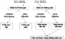 Lợi ích của xét nghiệm chức năng gan