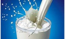 Protein trong sữa chống ung thư đại tràng