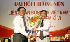 Đại hội thường niên LĐBĐVN năm 2012-Nhiệm kỳ VI