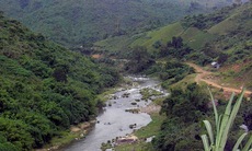 Tình thâm giữa chốn đại ngàn