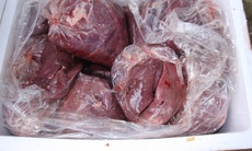 Hàng trăm kg nội tạng thối sắp tuồn qua biên giới