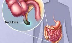 Những bí ẩn của cơ thể người
