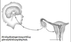 Có nên bổ sung estrogen để trẻ mãi không già?