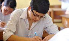 Cảm xúc mùa hè