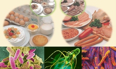 Bí quyết tránh ngộ độc thực phẩm