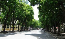 Hà Nội thông xe đường Trần Phú - Kim Mã vào tháng 12