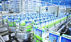 Xuất khẩu sữa Vinamilk tăng trường bình quân 62% trong 5 năm