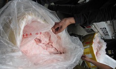 Nội tạng của lợn thải loại Trung Quốc tuồn về Hà Nội tiêu thụ 
