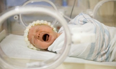 Bệnh lý võng mạc ở trẻ đẻ non