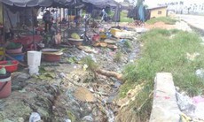 Mầm bệnh từ... chợ cóc