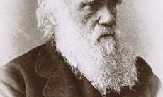 Giải mã bí ẩn căn bệnh của nhà bác học Charles Darwin