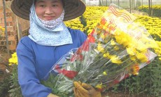 Thái Phiên - Làng hoa, làng du lịch