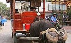 Độc đáo du lịch Bát Tràng