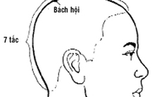 Xoa bóp, bấm huyệt chữa bệnh - Dễ làm, hiệu quả (Kỳ II)