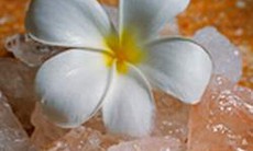 Phương pháp Tắm trắng “Ướp mật tinh hoa thiên nhiên” 