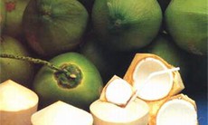 Nước dừa: Rất tốt cho trẻ nhỏ
