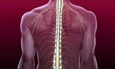 Viêm cột sống dính khớp và thuốc điều trị