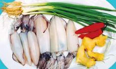 Cá mực - Món ăn ngon, vị thuốc quý