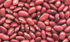 Bài thuốc từ các loại đậu