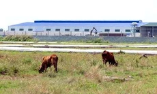 Thay ba chủ đầu tư, dự án treo vẫn hoàn treo