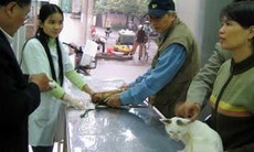 Xử trí khi bị chó, mèo cắn