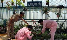 Điều trị hỗ trợ cai nghiện ma túy tại Việt Nam