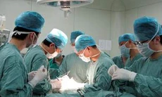 Kinh doanh bất hợp pháp tạng và thi thể người chết: Siêu lợi nhuận và... ghê sợ