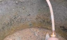 Dùng nước ô nhiễm để... ăn