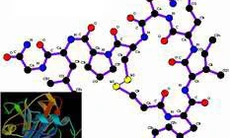 Nhìn nhận tích cực về oxytocin