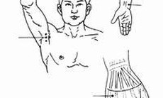 Bấm huyệt phòng chữa liệt run Parkinson