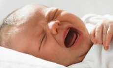 Khóc dạ đề, chữa thế nào?