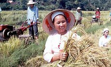Nhớ về Nông trường sông Hậu ngày ấy