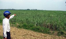 Cán bộ xã chiếm đất của nông dân suốt 17 năm: Chuyện khó tin, nhưng có thật