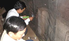 Chuyên gia... săn bắt muỗi