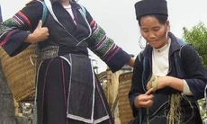 Gặp gỡ Bắc Hà