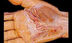 Thuốc điều trị viêm gân cơ bàn tay