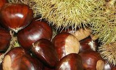Cháo thuốc trường sinh