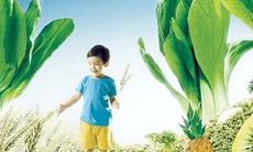 Dinh dưỡng ngày Tết cho trẻ