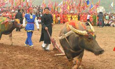 Khai xuân bằng lễ hội Tịch điền
