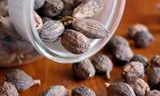 Thảo quả trị bệnh hôi miệng