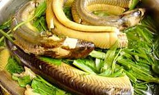 Món ăn tốt cho người bệnh tiểu đường