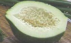 Quả đu đủ xanh chữa sỏi thận, sỏi mật