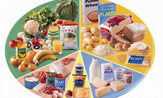 Dinh dưỡng với nhiễm khuẩn và miễn dịch ở trẻ em