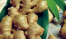 Thuốc nam phòng và chữa bệnh trẻ em