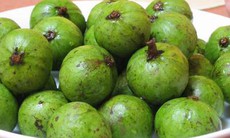 Chữa nôn do thai nghén với quả sấu