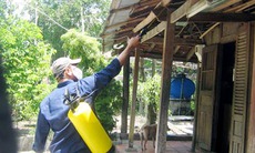 Nên phun thuốc diệt muỗi vào giờ nào?